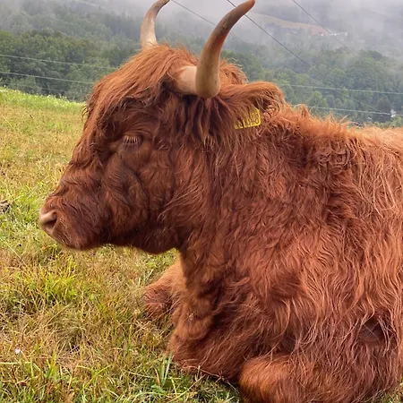 Obytnak Bohousek Nyaraló